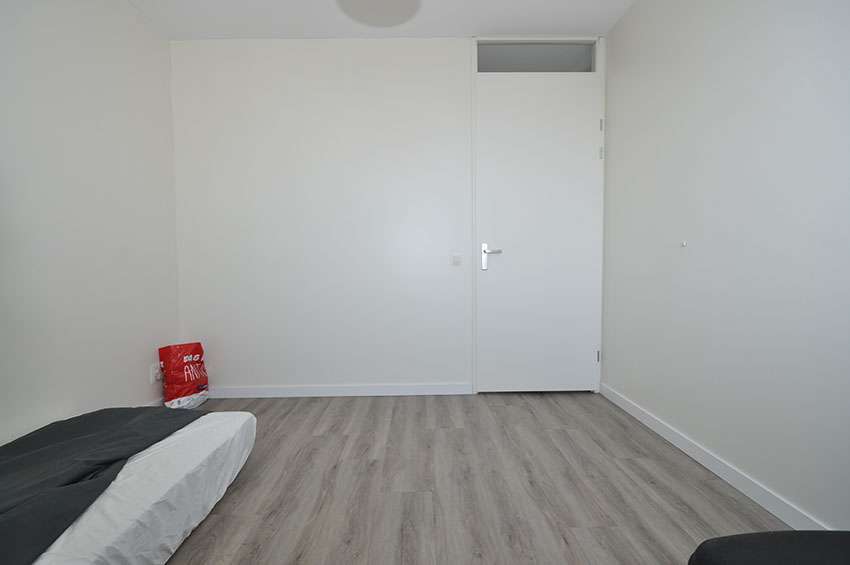 rotterdam room for rent